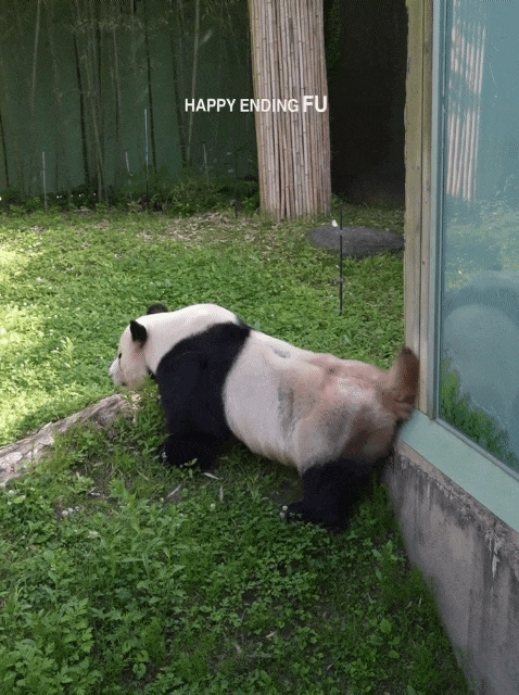 EVFZiM.gif