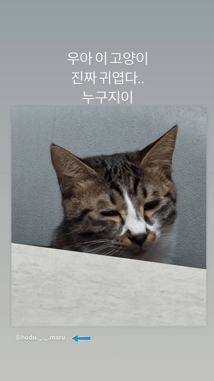 EXOLKQ.gif