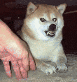 EYBZil.gif