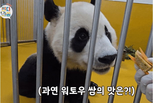 EgQNeU.gif