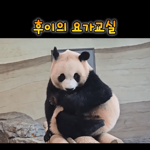 EgXRGY.gif