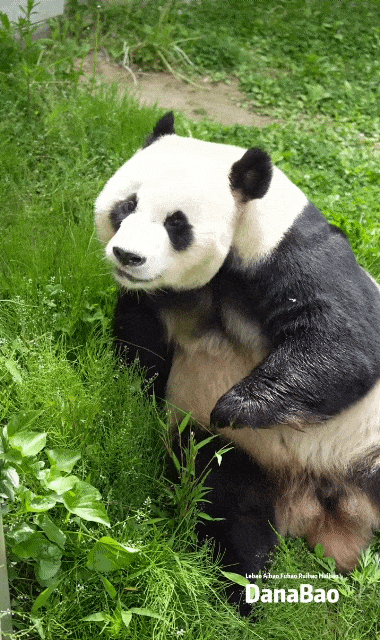 EkEIBd.gif