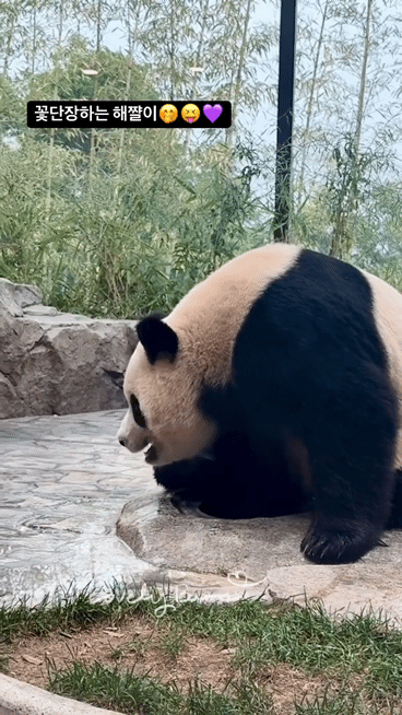 EkPWvu.gif