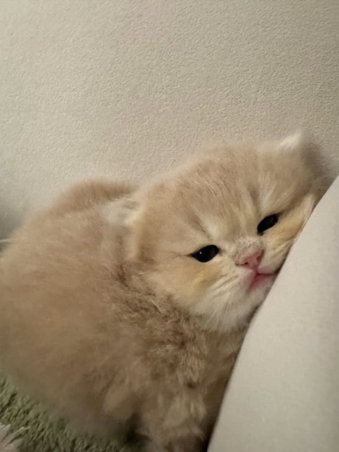 EpPSGu