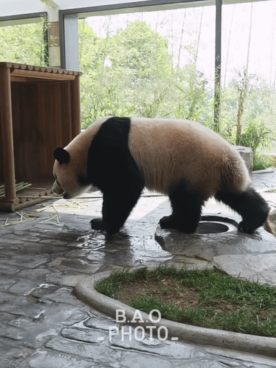 EwVhwA.gif