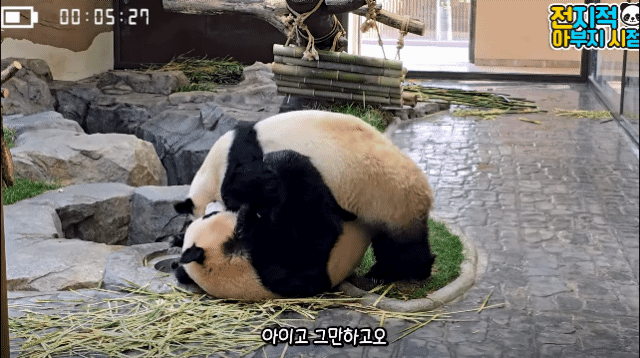 ExvPUW.gif