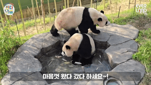 EybDrg.gif