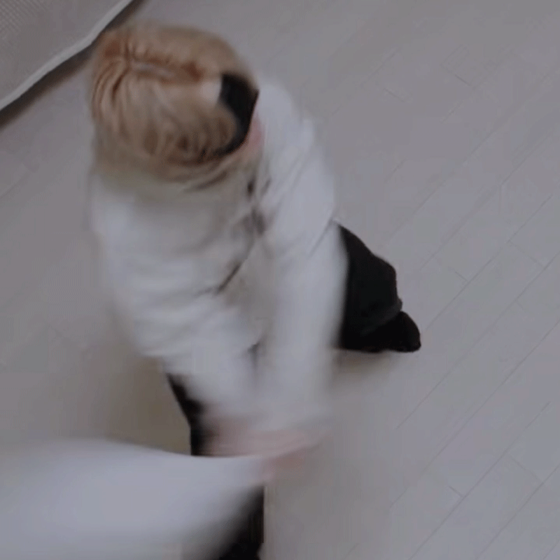 FMEowY.gif