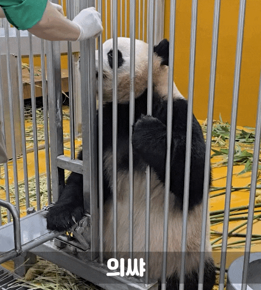 FMjcmd.gif