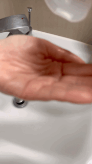 FSGBgs.gif