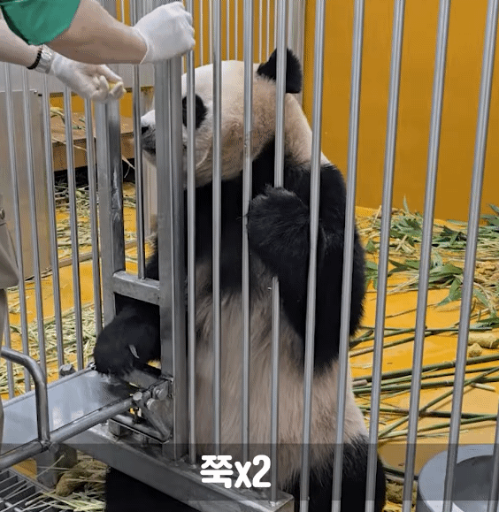 FTGztz.gif