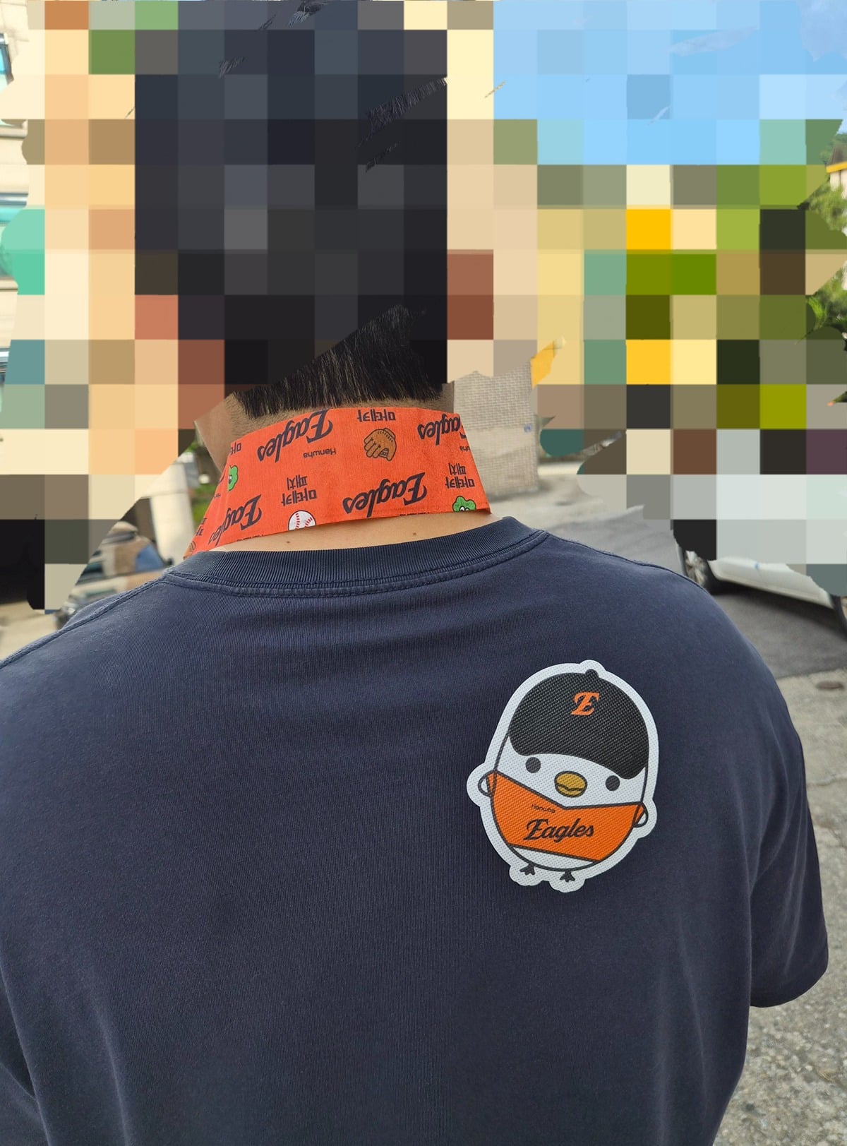 FehPfa