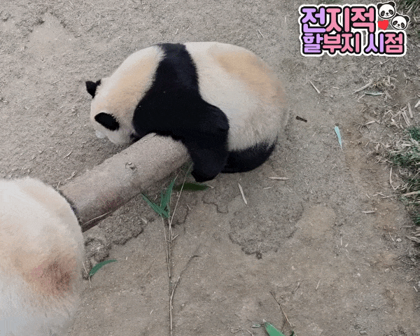 FnVcaD.gif