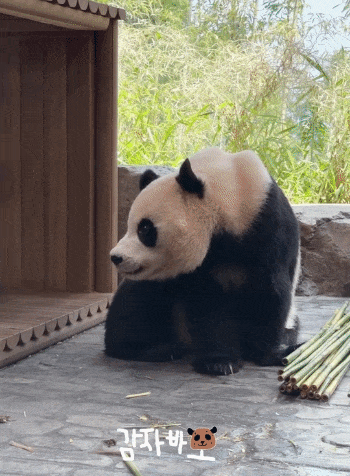 FqCqdQ.gif