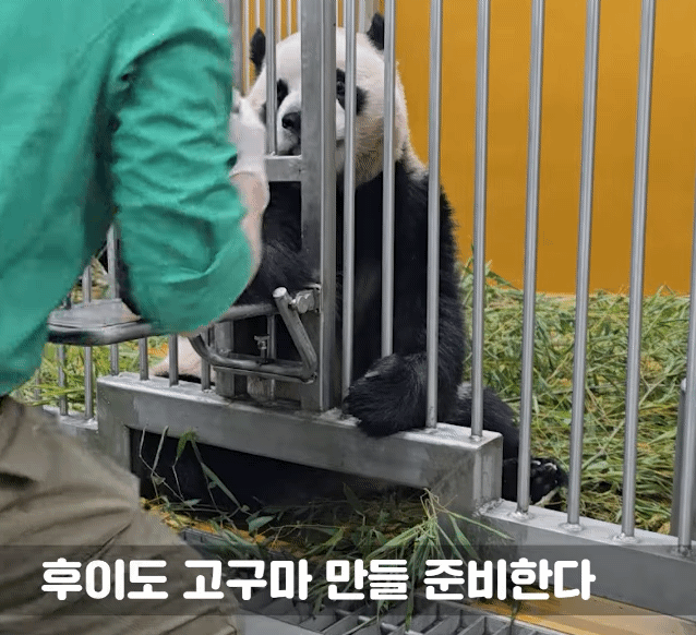 FveinX.gif