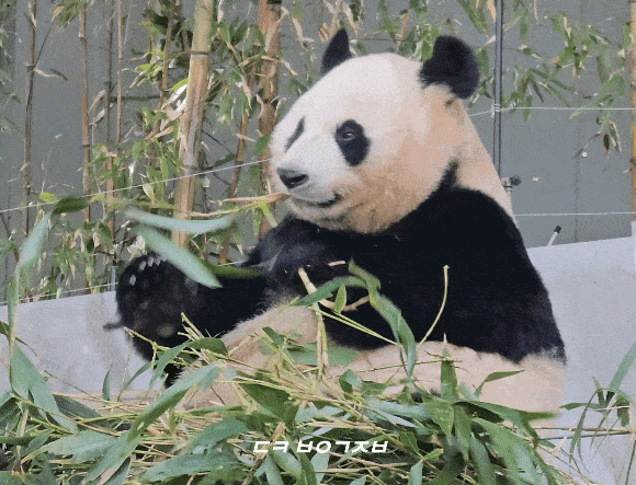 FxOZeK.gif