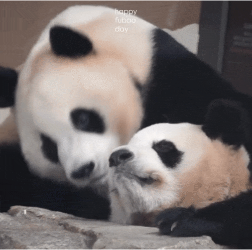 FxQoIW.gif