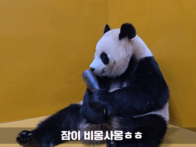 FzjZTL.gif
