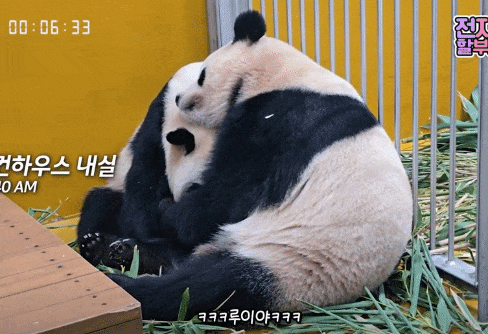 GJySIM.gif