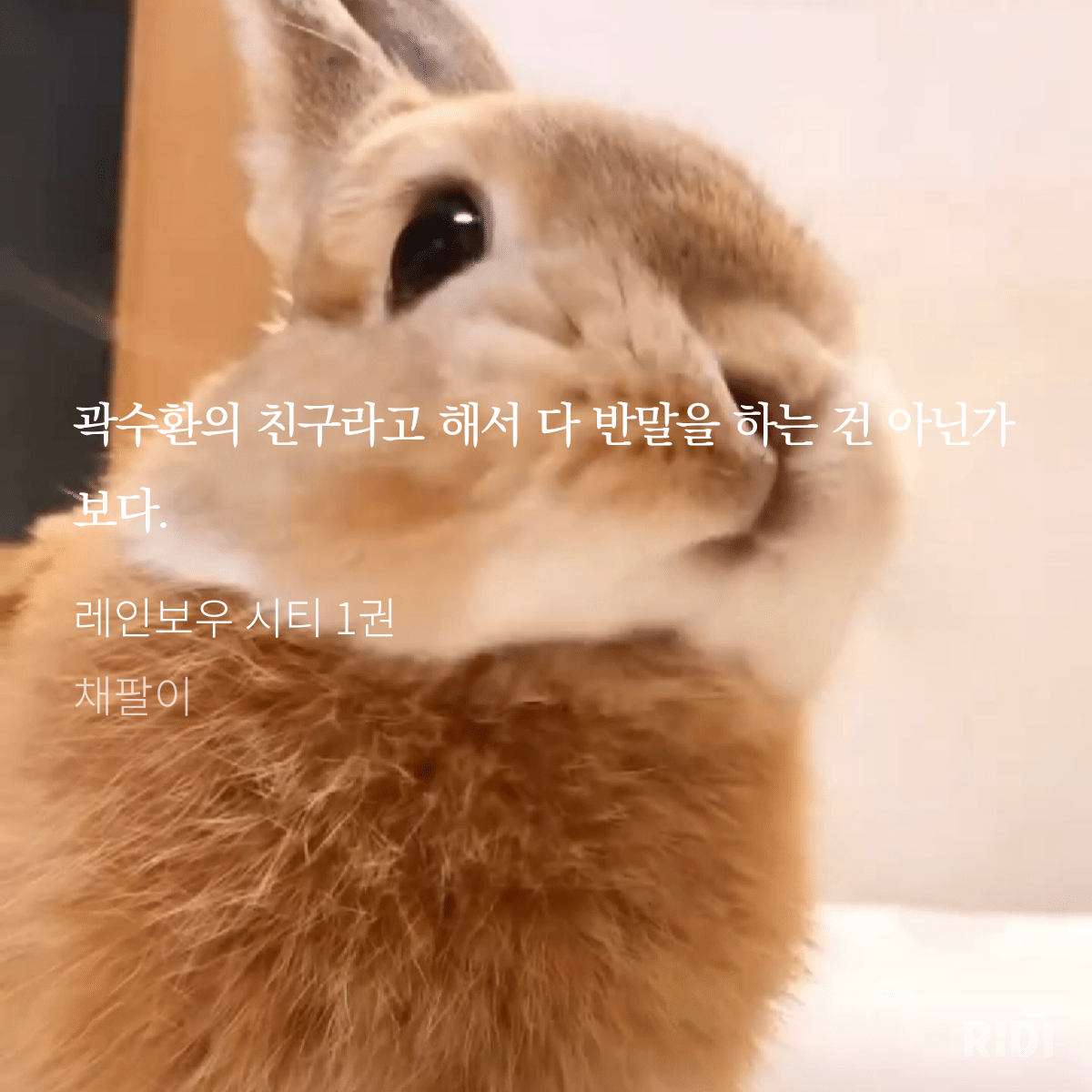 GKkYJ