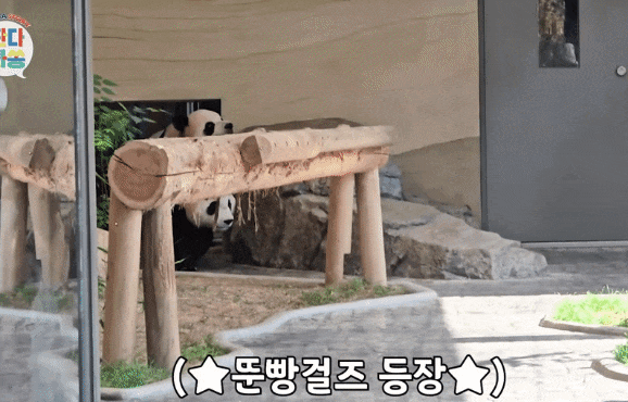 GOXqWm.gif