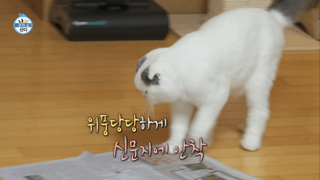 GVNNSC.gif
