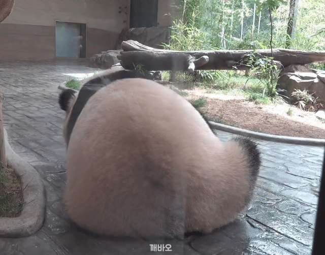 GVagQg.gif