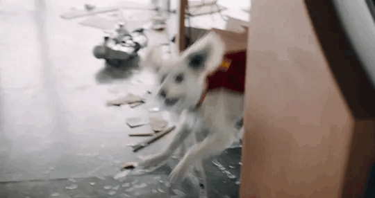 GgAtfF.gif