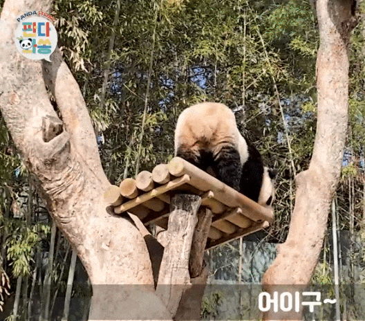 GkINQu.gif