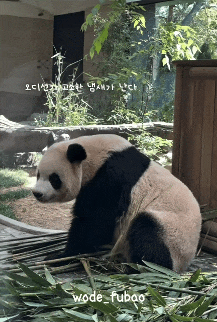 GlYexx.gif