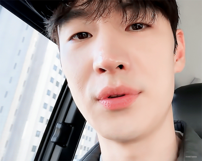 GnMaoT.gif