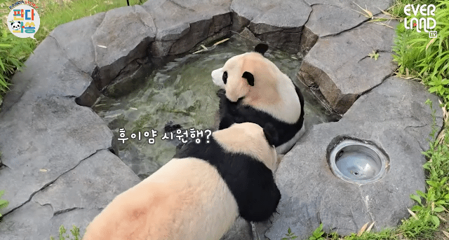 GxkZHX.gif