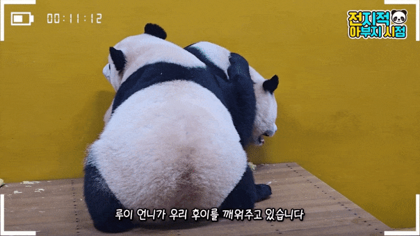 GyPjRk.gif