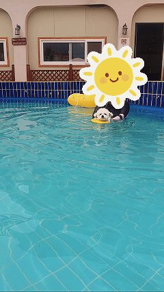 HEqiOD.gif