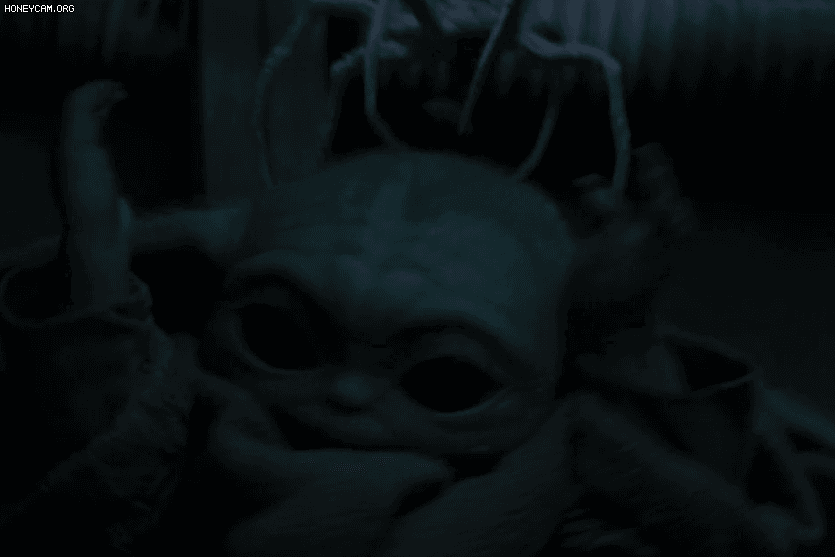 HFxXSP.gif