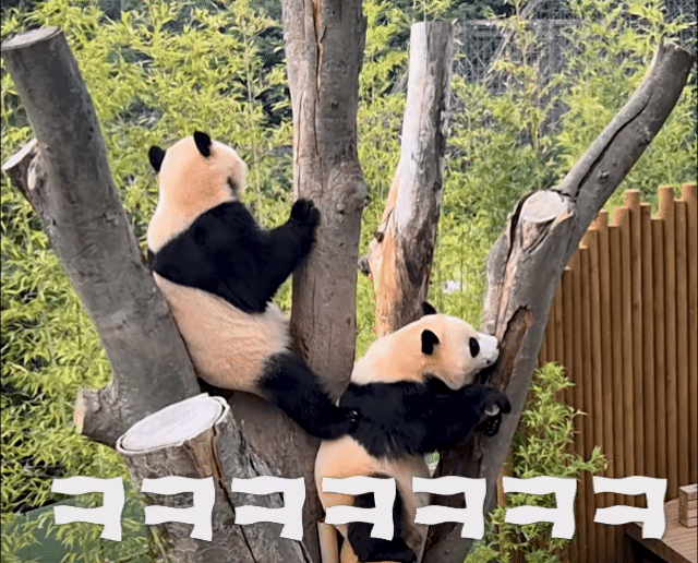 HIrFgj.gif