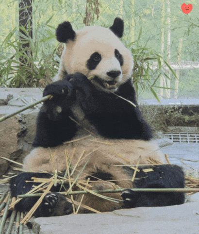 HKQKOt.gif