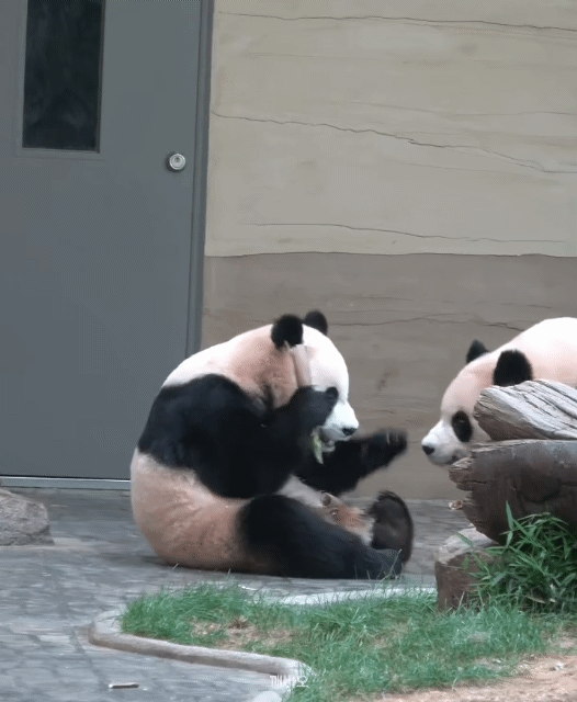 HKVnEI.gif