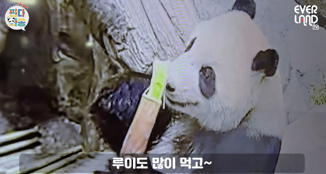 HSQyfa.gif