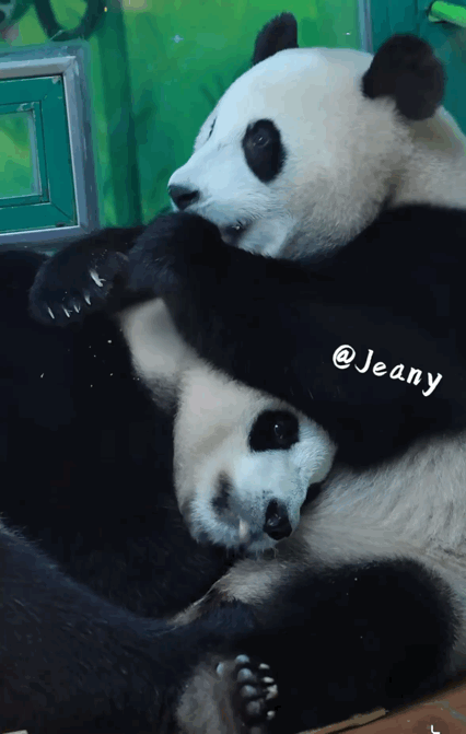HTzCSK.gif