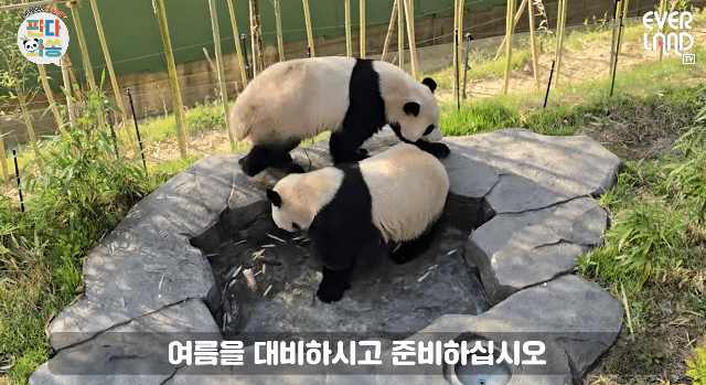 HZxEcc.gif