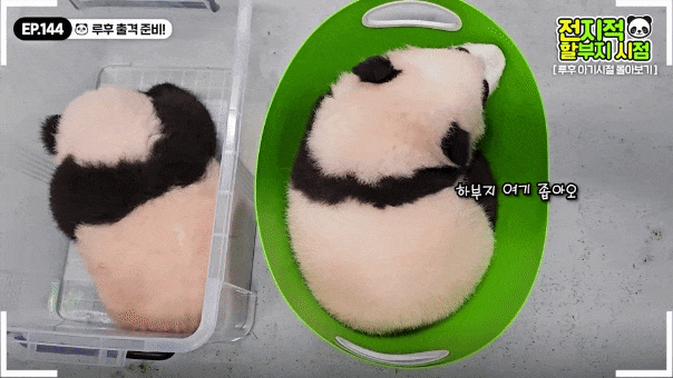 HhsVTA.gif
