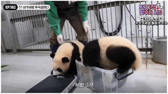 Hkpkuq.gif