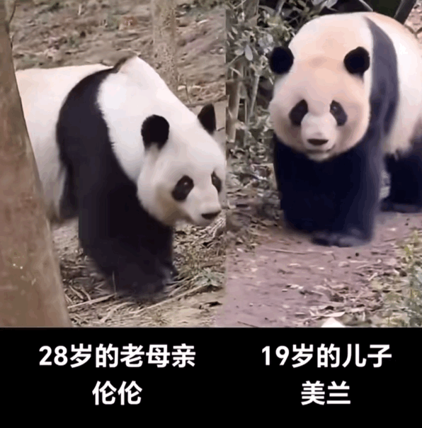 HpbXPg.gif