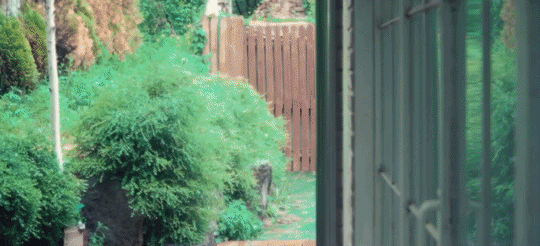 HrPfDc.gif