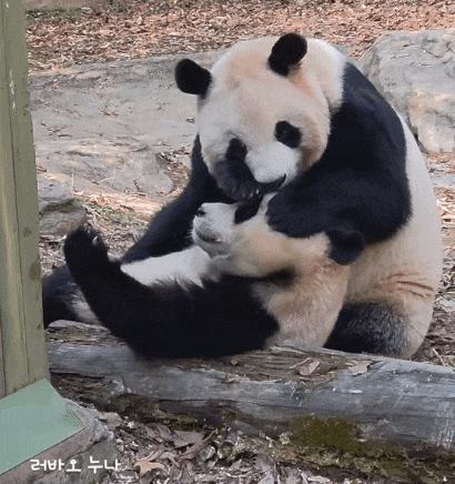 HsPotI.gif