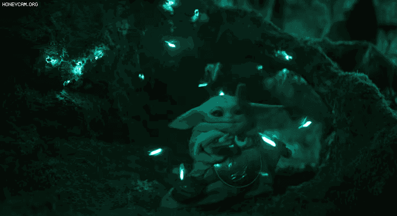 HuZFVL.gif