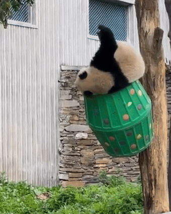 HvktzW.gif