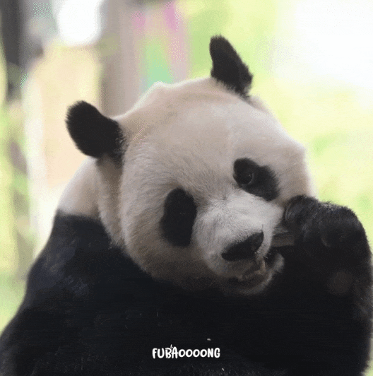 ICWbee.gif
