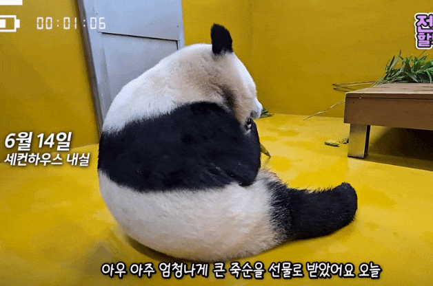 IJFDcb.gif
